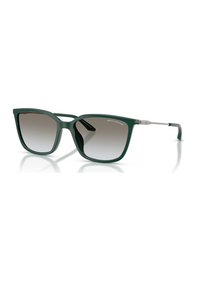 Armani Exchange 0ax4171su 840911 55 Kadın Güneş Gözlüğü Siyah