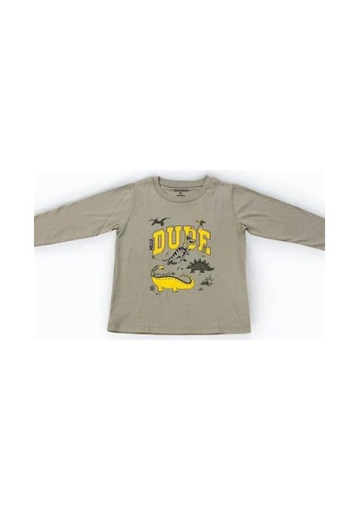Divonette Erkek Çocuk Dinazor Baskılı Uzun Kollu T-shirt-15088 Gri