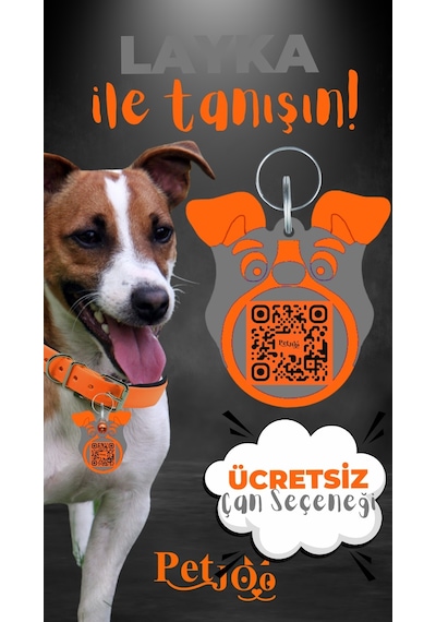 Petjoo 22.Layka Turuncu-Gri Qr'lı Köpek Künyesi