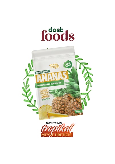 Dondurularak Kurutulmuş Ananas 20 G Freeze Dried Meyve Cipsi Çıtır Meyve Kurusu 6 Adet