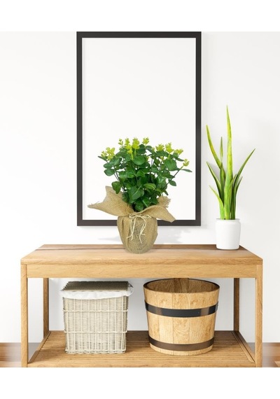 Yapay Çiçek Keten Saksıda Okaliptus Yeşil 12dal 40cm Salon Çiçeği Yapay Bitki Diğer