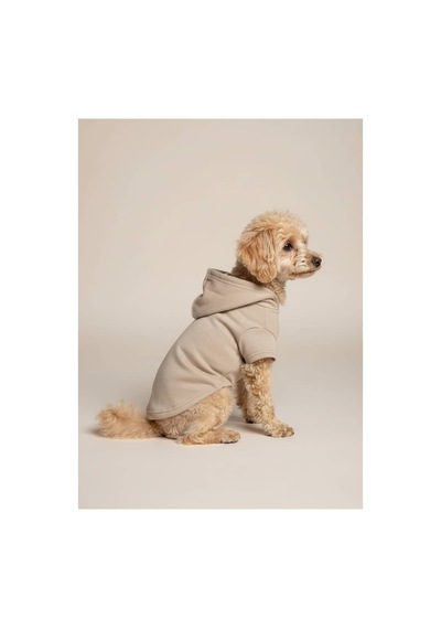 Kapüşonlu Kedi Köpek Kıyafeti Sweatshirt Hoodie Evcil Hayvan Giysisi