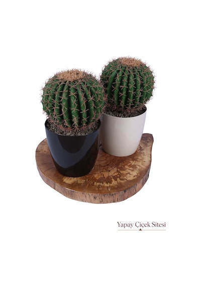 Yapay Çiçek Sitesi Plastik Saksıda 2li Mini Yapay Kaktüs Aranjmanı 45 Cm Yeşil