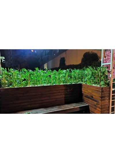 Rüzgar Yapay Çiçekçilik 50 Cm 20 Adet Bambu Yeşil