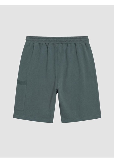 Lcwaıkıkı Classic Yeşil Regular Fit Erkek Kargo Şort