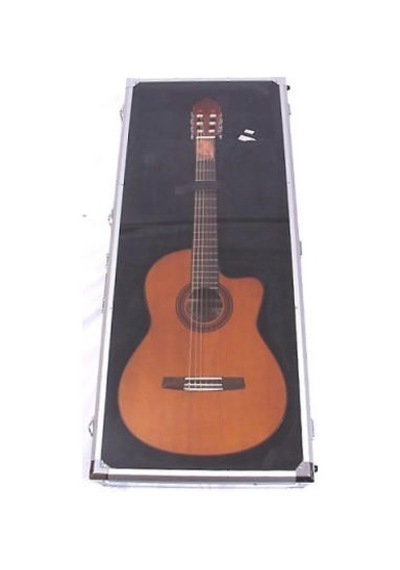 Gitar Teşhir Çantası: Dsc420