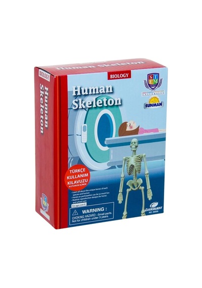 Eğitici Bilim Seti İnsan İskeleti 1 Adet