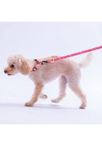 Daisy Papatya Desenli Köpek Boyun Tasması Ayarlanabilir Köpek Tasması S Pembe