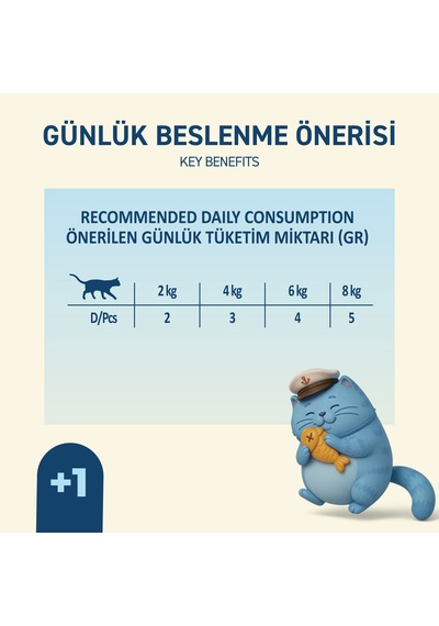 Somonlu Yaş Kedi Maması 85 Gr X 24 Adet Jöle İçinde Parça Etli - Yetişkin Kedi