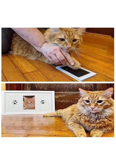 Süslüpati Kedi Köpek Pati İzi Fotoğraf Çerçevesi Seti Beyaz