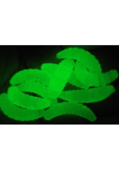 Yapay Sahte Gerçek Görünümlü Glow Kurtçuk Sahte Balık Solucan 10 Adet