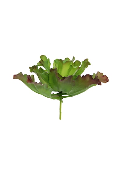Yapay Sukulent Kırmızı Yeşil 30 Cm-9966
