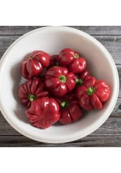 10+ Adet Tatlı Pimento Biber Tohumu