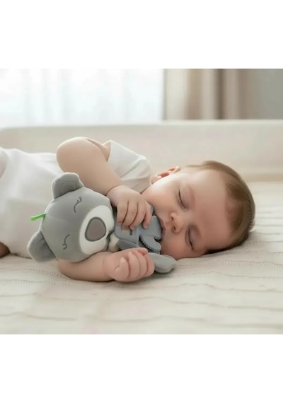 Babyjem Diş Kaşıyıcılı Uykucu Ayıcık 680 Gri