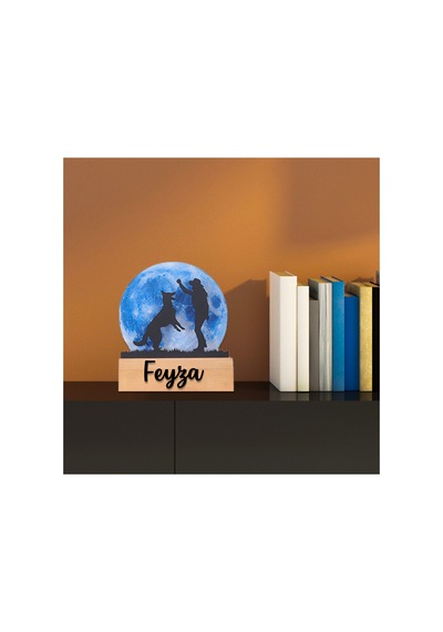 Led Işıklı Pleksi Dolunay Kişiselleştirilebilir Biblo Ruth Köpekle Oynayan Adam Anahtar Askılığı Mavi - 737330689 Mavi