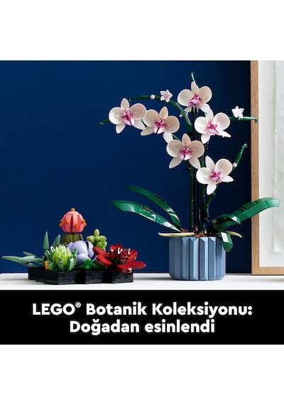 LEGO® Botanicals Orkide 10311 – Yetiskinler için 5 Yaprak ve 2 Kök Içeren Dekoratif Yapay Bitki Modeli Yapim Seti (608 Parça)