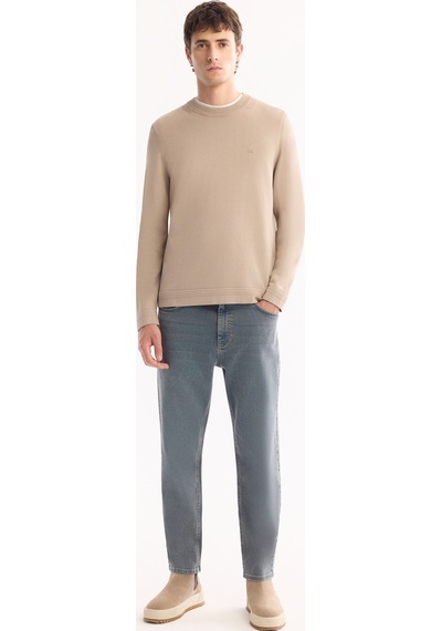 Avva Erkek Vizon Bisiklet Yaka Rayon Tüylenmeyen Regular Fit Triko Kazak A52y5001