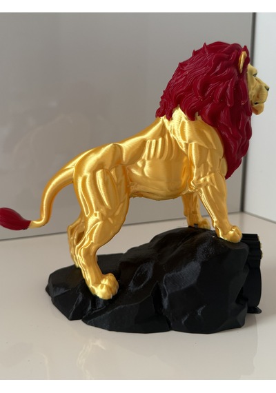 Aslan Renkli 3d