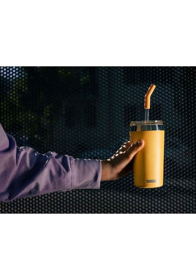 Sigg Helia Çelik Termos 450Ml Somon 6014.90