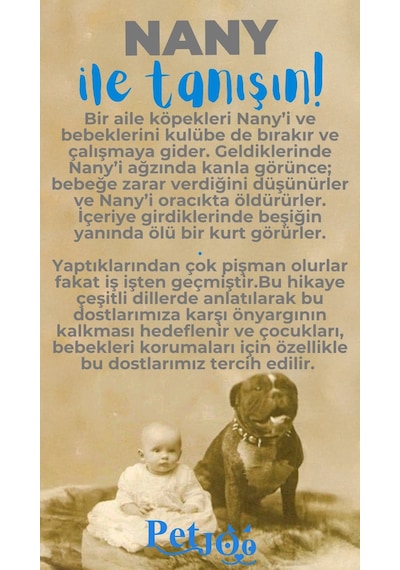Petjoo 17.Nany Mavi-Gri Qr'lı Köpek Künyesi