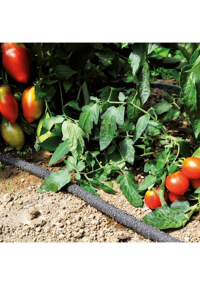 Ecodrop Damla Sulama Hortumu 25 Metre