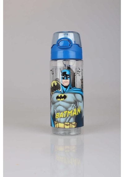 Lisanslı Batman Trıtan 500 Ml Matara Diğer