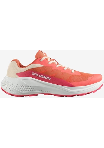 Salomon Alphaglide Kadın Koşu Ayakkabısı - L47801700-7204 Çok Renkli