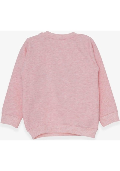 Breeze Kız Çocuk Sweatshirt Sevimli Hayvancıklar Baskılı 1.5-5 Yaş, Somon Melanj-somon Melanj Somon Melanj Breeze Kız Çocuk Sweatshirt Sevimli Hayvancıklar Baskılı 1.5-5 Yaş, Somon Melanj-somon Melanj Somon Melanj