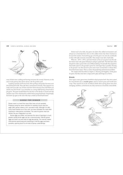 Storey's Guide To Raising Poultry, 4th Edition: Chickens, Turkeys, Ducks, Geese, Guineas, Game Birds