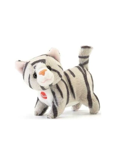 Trudi Sw Col Kitten Brad 51326 Çok Renkli
