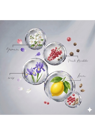Saint Uk 1987 Kadın Parfüm 100ml Edp Aromatik - Odunsu