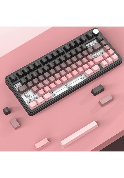 Black Gradiant Rgb Kablosuz Hotswap Mekanik Gaming Klavye Oyuncu Klavye