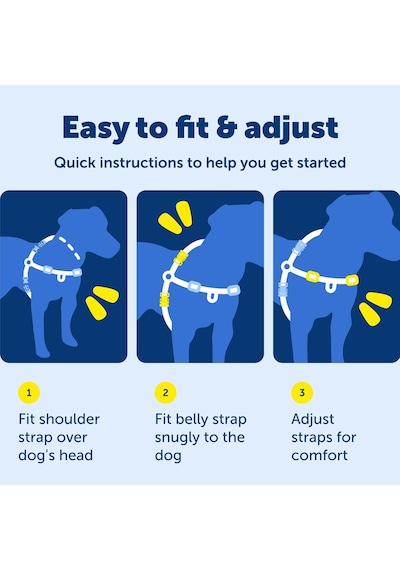 Tr Easy Walk Köpek Koşum Takımı Genel
