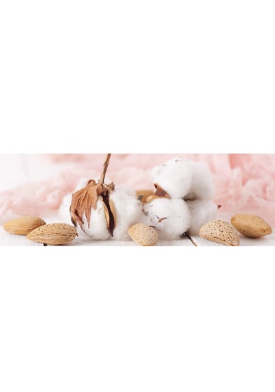 Lux Göğüs Pedi 20 Li X 6 Paket
