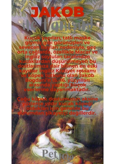 Petjoo 8.Jakob Gri-Kırmızı Qr'lı Köpek Künyesi