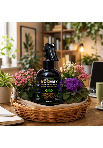 Kökmax Ev Bitkileri İçin Kök Güçlendirici Ve Çiçek Coşturucu Sprey 500 ML