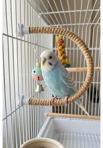 Mivra Pets 2'li Esnek Kuş Tüneği 40 Cm Doğal Jüt
