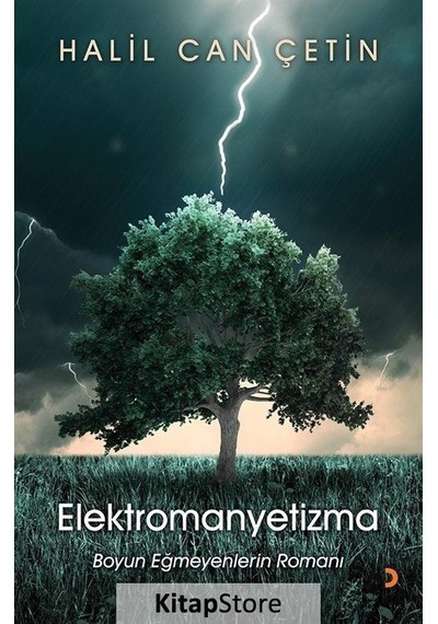 Kitapstore Elektromanyetizma / Halil Can Çetin