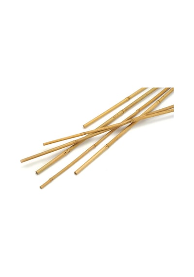 Bambu Bitki Destek Çubuğu 105 Cm 10 Adet