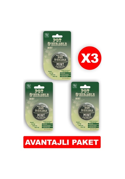 Ruby Kisses Nane Yağı Dudak Nemlendiricisi 3 x 10 G