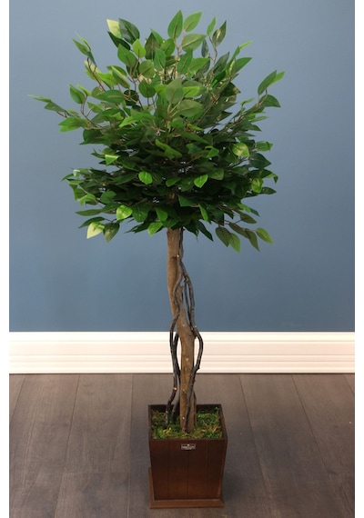 Yapay Çiçek Deposu Yapay Bodur Benjamin Ağacı 130 Cm Ficus Benjamina