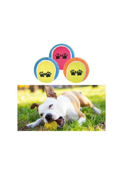 Buffer® Desenli Tenis Topu Kedi Köpek Oyuncağı 3'lü Çok Renkli