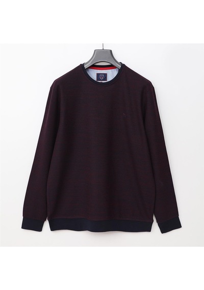 Dio Rise Erkek Uzun Kol İnce Sweatshirt - Czt-126 - Bordo - Lacivert Bordo - Lacivert Dio Rise Erkek Uzun Kol İnce Sweatshirt - Czt-126 - Bordo - Lacivert Bordo - Lacivert