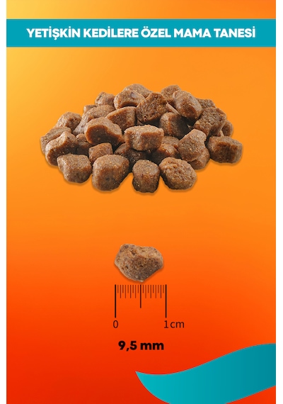 Sensitive Somon Ve Pirinçli Yetişkin Kedi Maması 2kg
