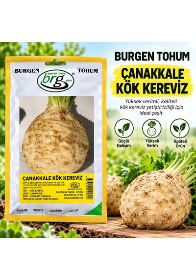 Burgen Tohum Kök Kereviz Çanakkale