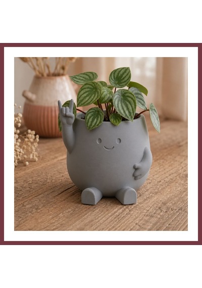 Storeşahin 3d Baskı Smiley Face Planter - Gülümseyen Karakterli Saksı-gri Shn0720