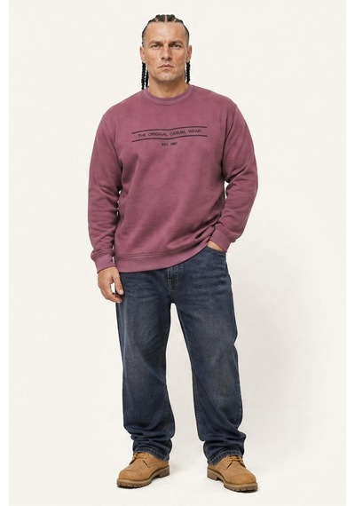 Starbattal Erkek Büyük Beden Sıfır Yaka 3ip Sweat Original 24203 Eflatun-2861