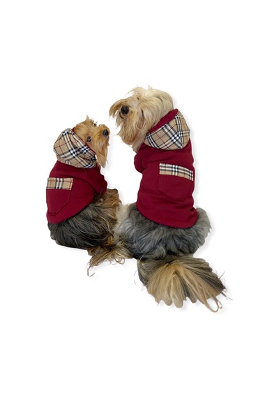 Kemique Bb Limited Kapşonlu Köpek Sweatshirt