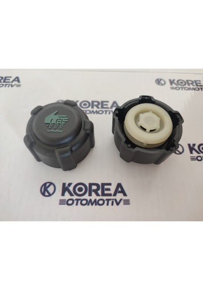 Ceko Kapak Depo Su Yedek Qashqai/xtrail/juke/note KR-21430-AX300-CEKO