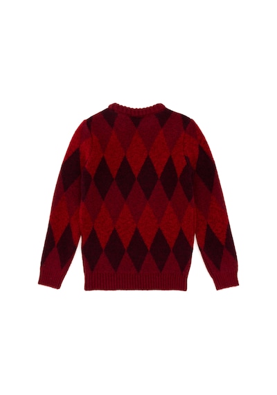 U.s. Polo Assn. Erkek Çocuk Vişne Kazak /triko 50293014-vr223 Vişne